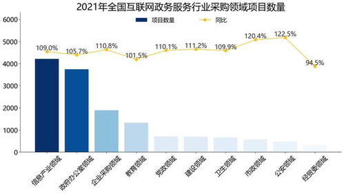 2021年全國(guó)互聯(lián)網(wǎng)政務(wù)服務(wù)行業(yè)招標(biāo)采購報(bào)告（簡(jiǎn)版）——聚焦北京網(wǎng)絡(luò)技術(shù)服務(wù)